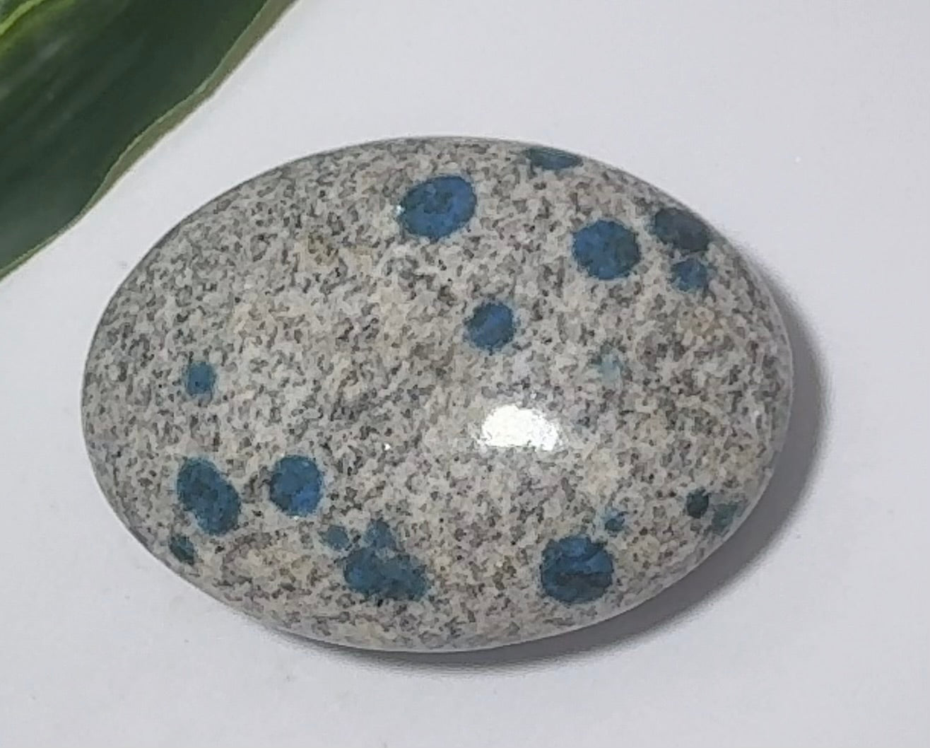 K2 Jasper Palm Stone 128g