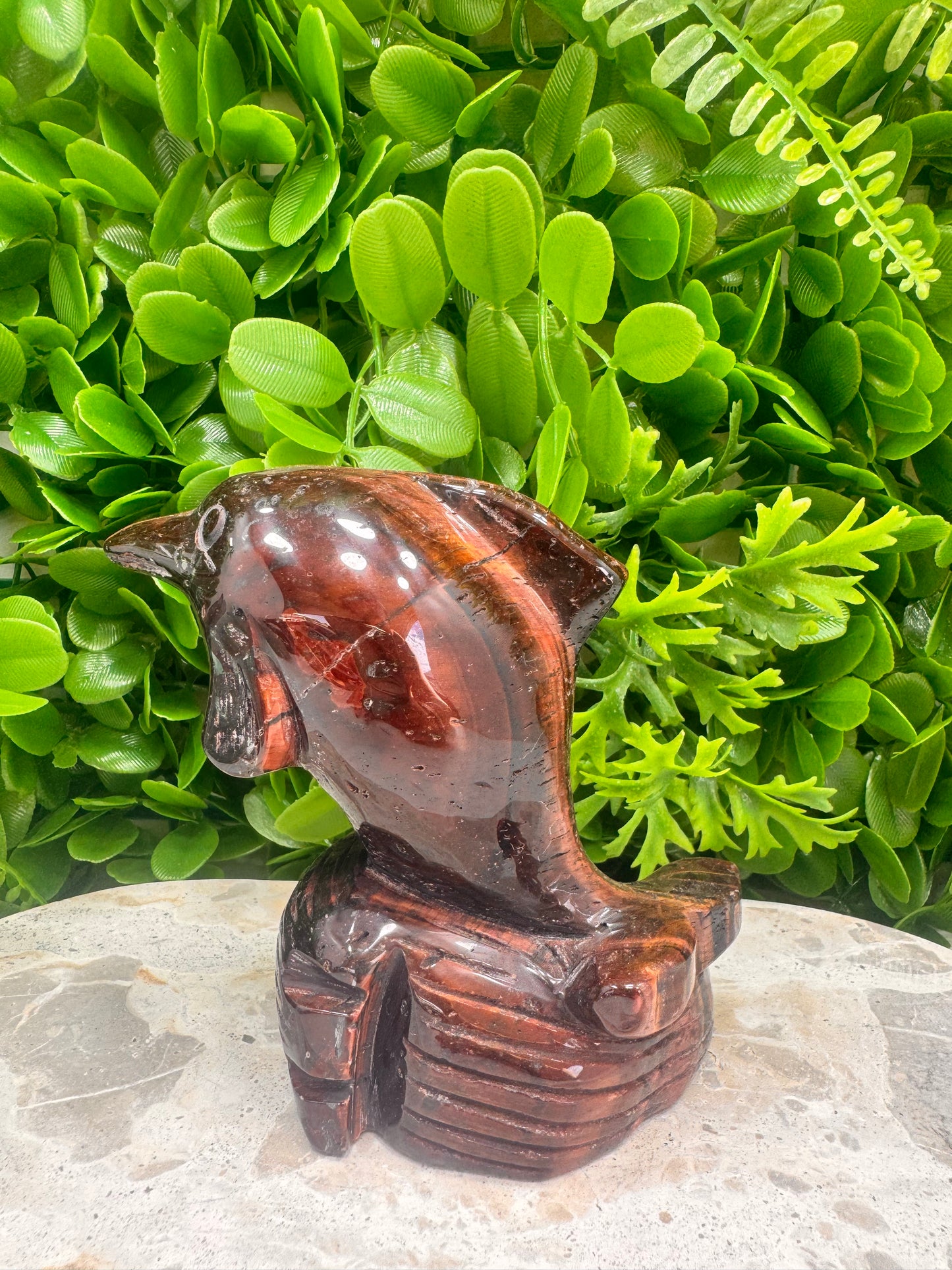 Red Tigers Eye Dolphin 616g