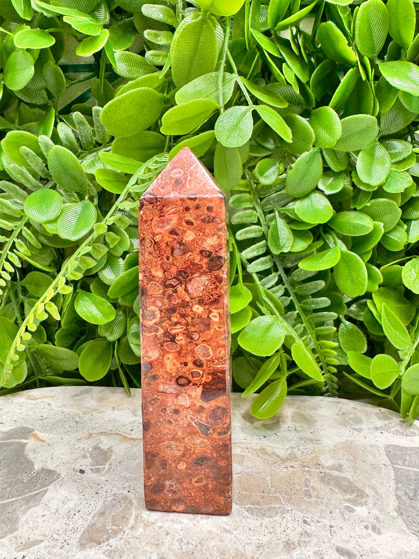 Coral Fossil Jasper Tower 236g