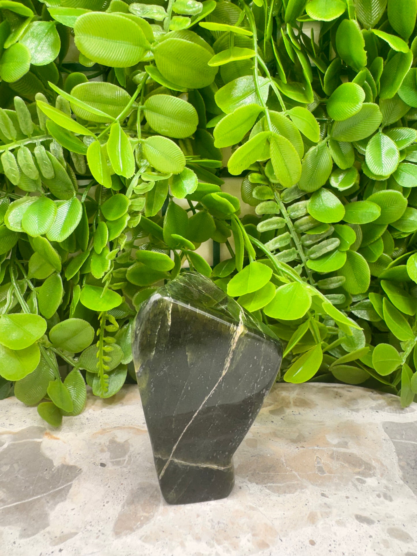Nephrite Jade Freeform 248g
