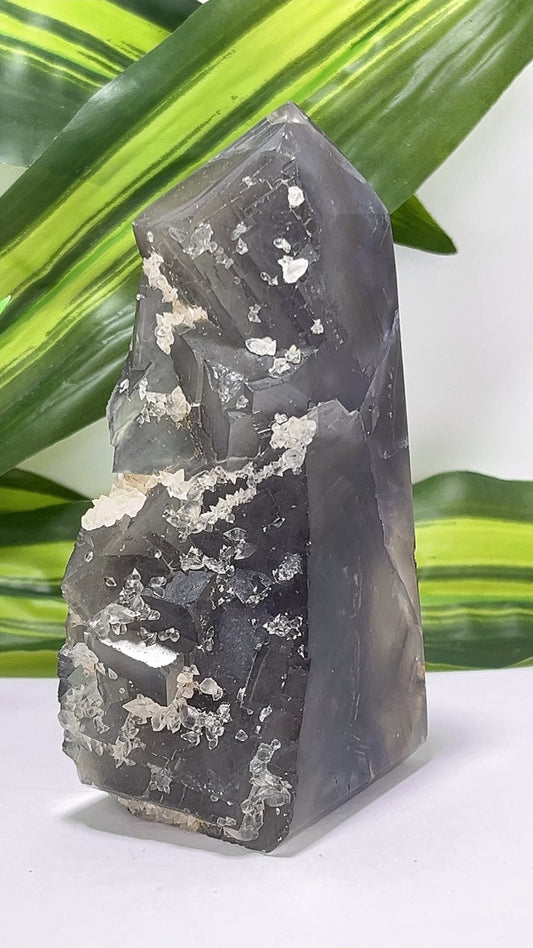 Fluorite Tower Freeform 480g