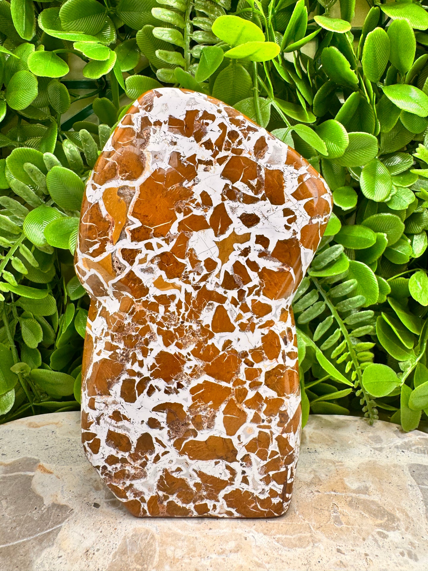 Jasper Agate Freeform 780g