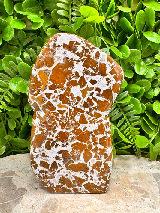 Jasper Agate Freeform 780g