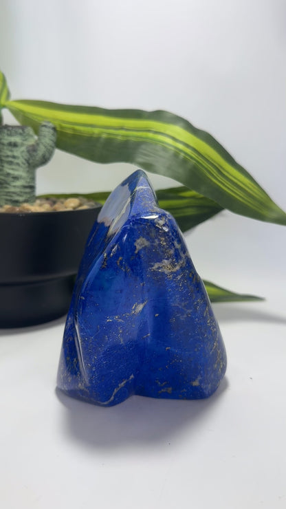 Lapis Lazuli Freeform 1586g