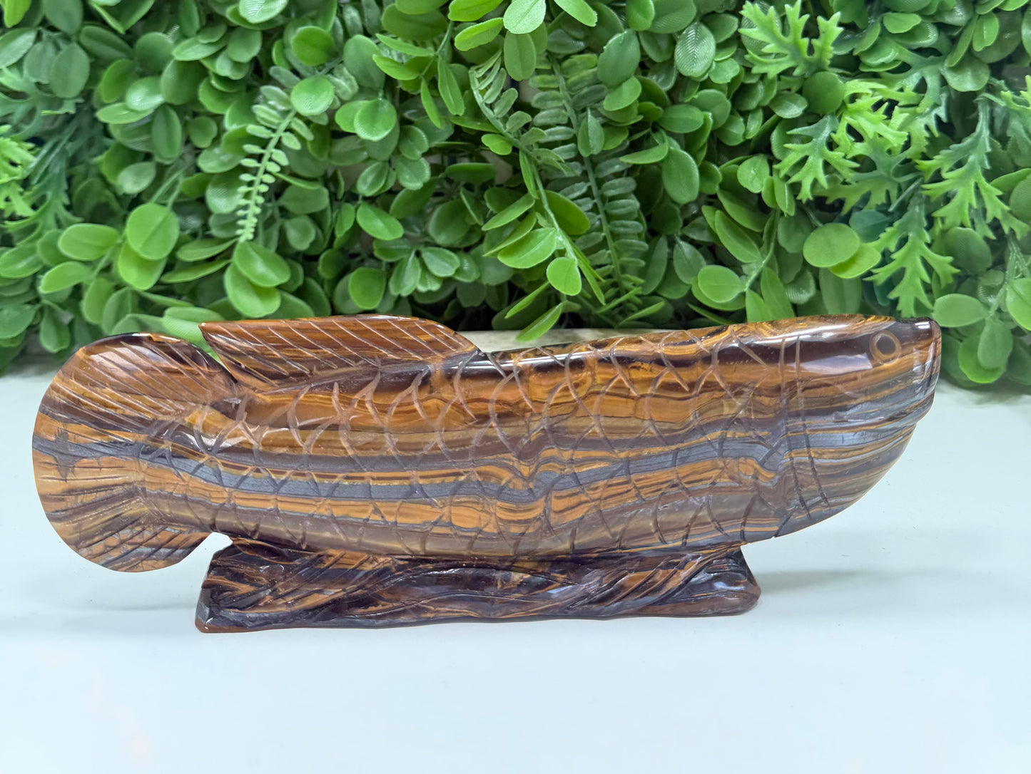 Tiger Eye/Tiger Ore Fish 756g
