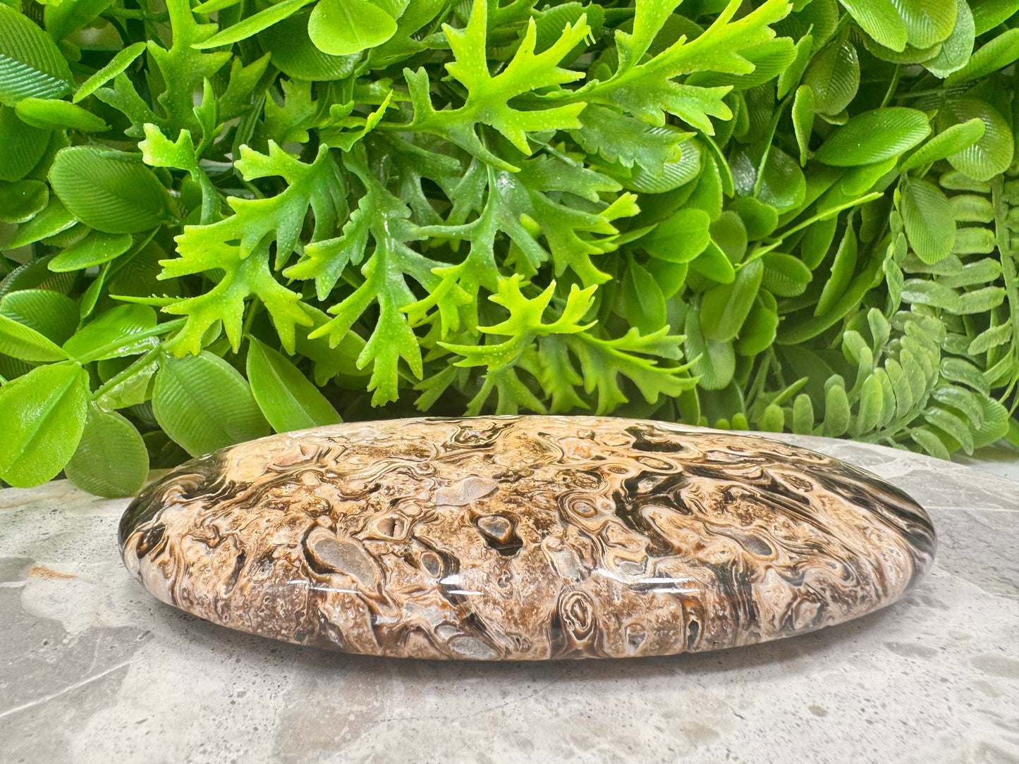 Chocolate Calcite Palm Stone  260g