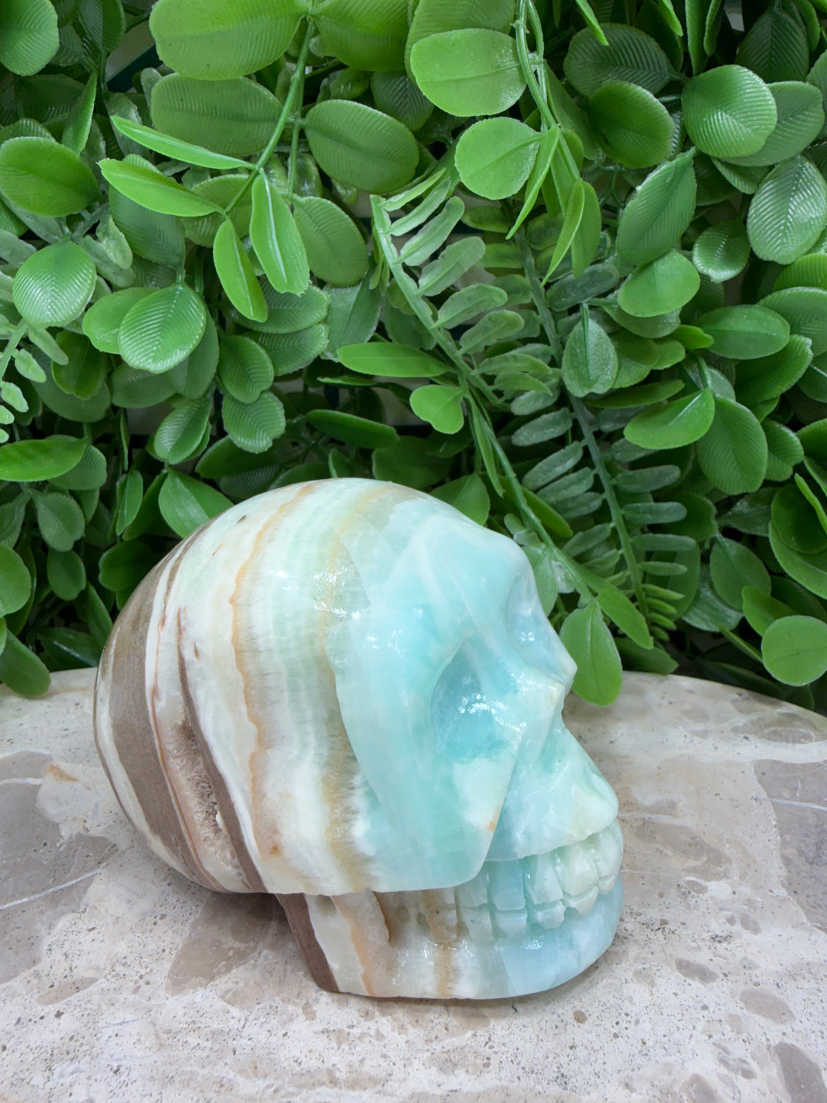 Caribbean Calcite Skull | Calm • Intuition • Emotional Healing
