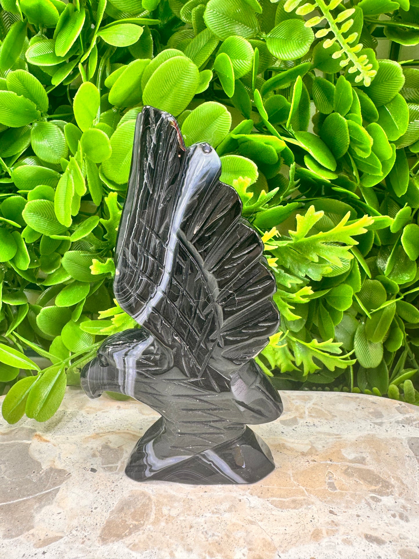 Black Banded Sardonyx Eagle 298g
