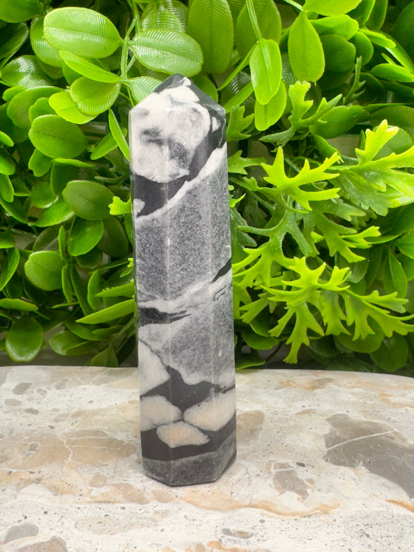 Shell Jasper Tower 220g