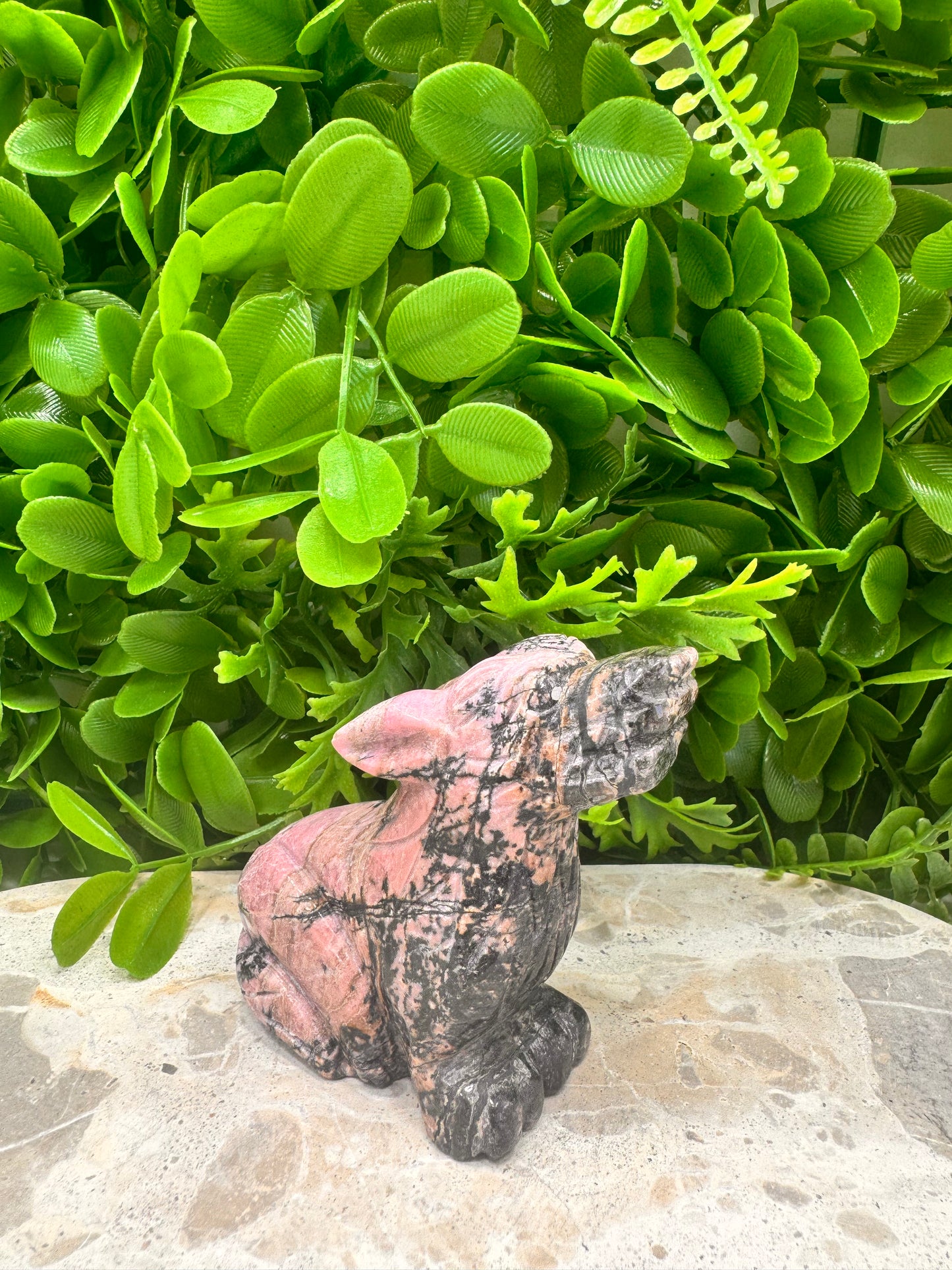 Rhodonite Wolf 358g