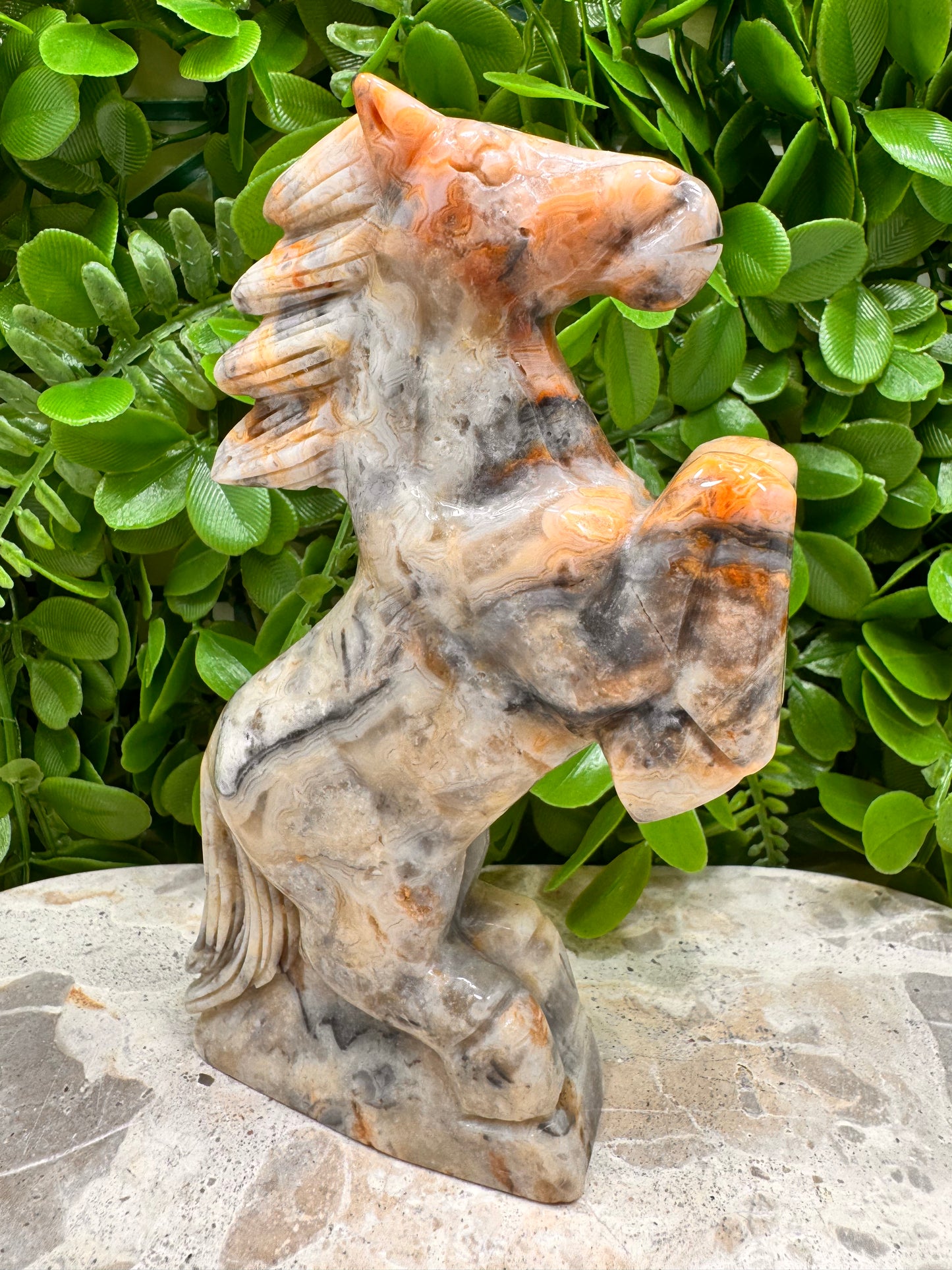 Crazy Lace Agate Horse 410g