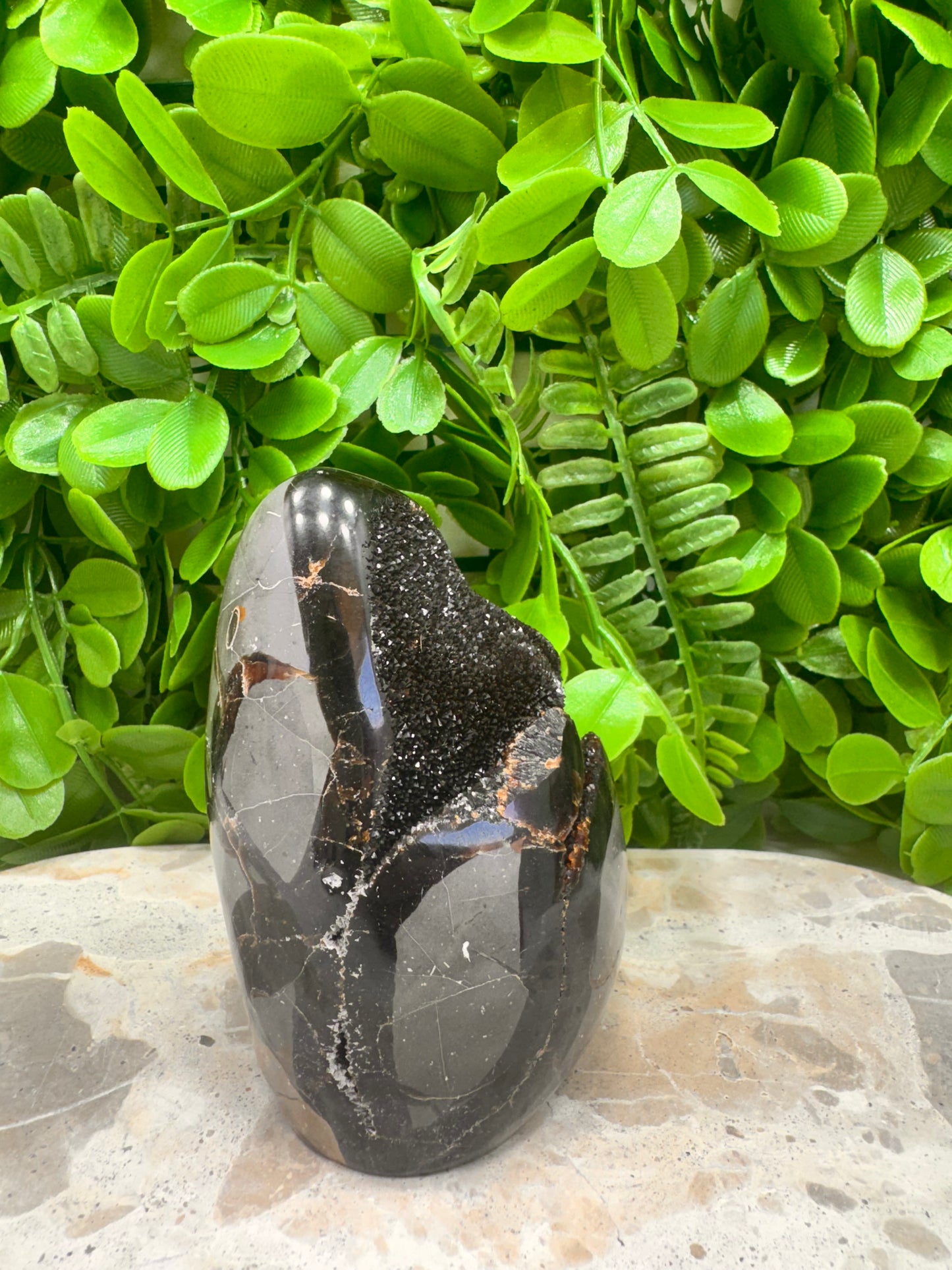 Septarian Freeform 570g