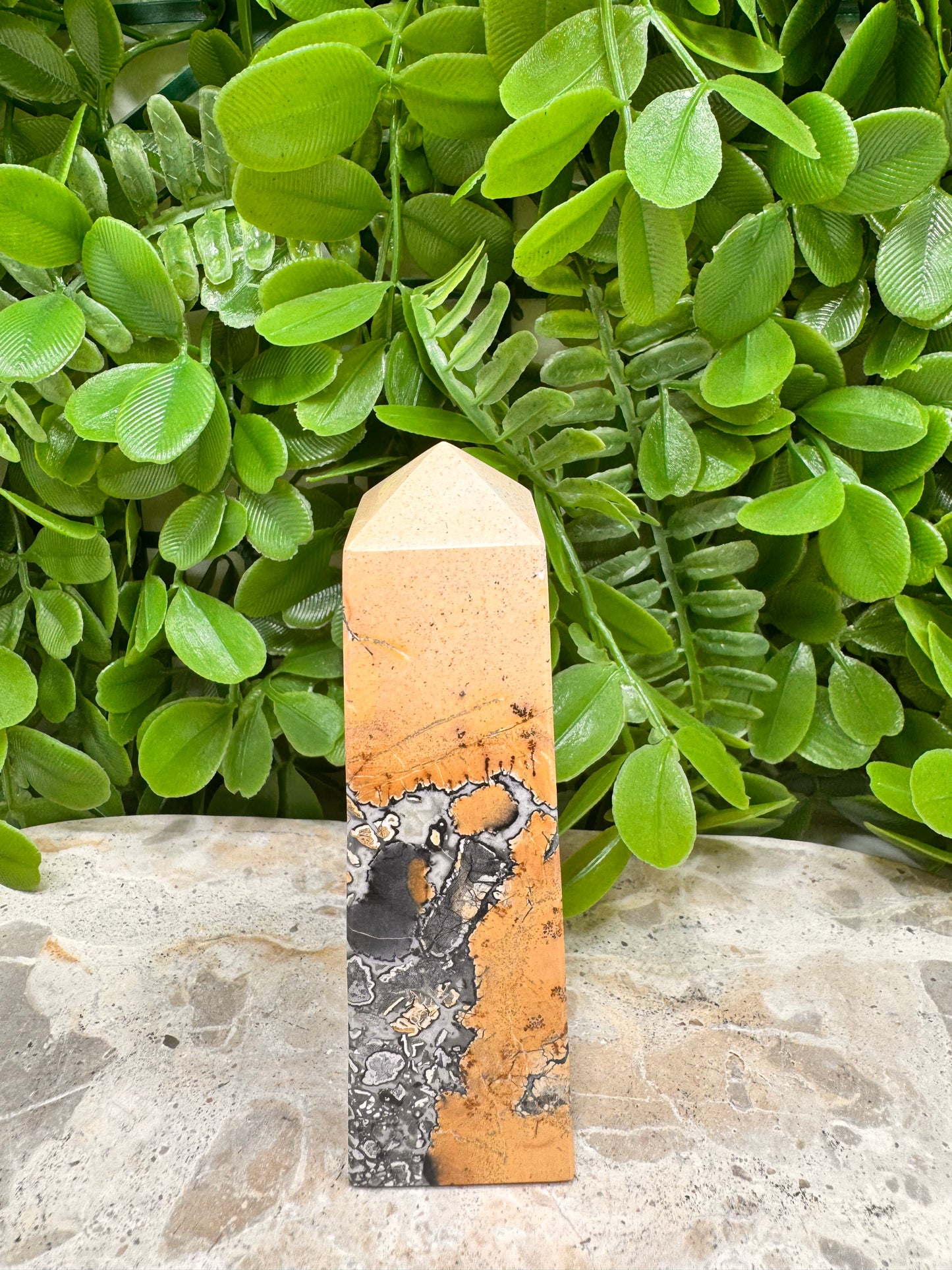 Maligano Jasper Point 224g