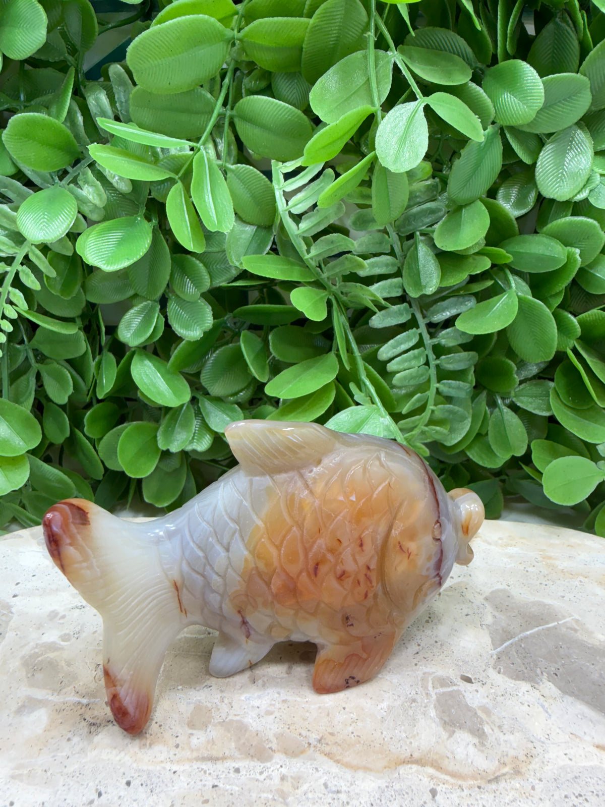 Carnelian Fish 198g | Motivation • Confidence • Creativity