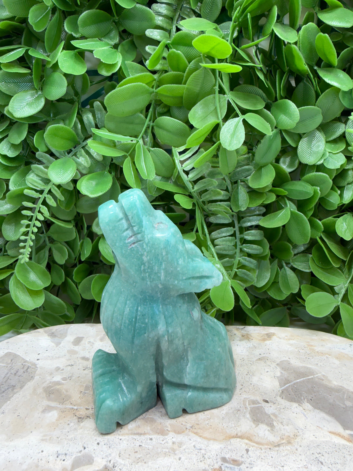 Amazonite Wolf 334g | Communication • Harmony • Truth