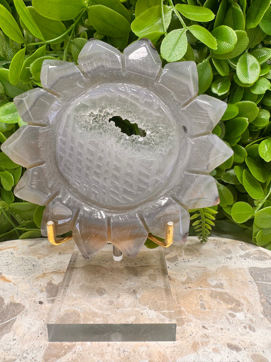 Druzy Agate Sunflower 262g