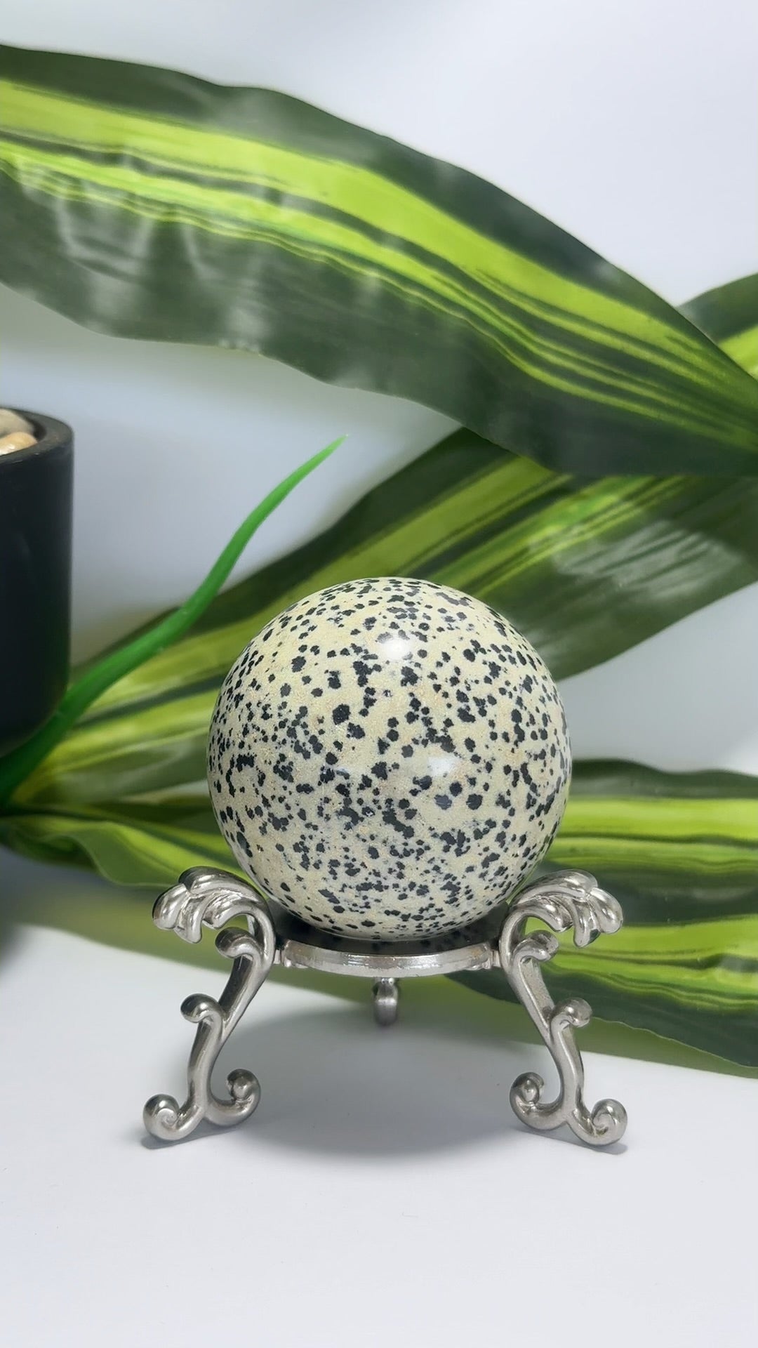 Dalmation Jasper Sphere 236g