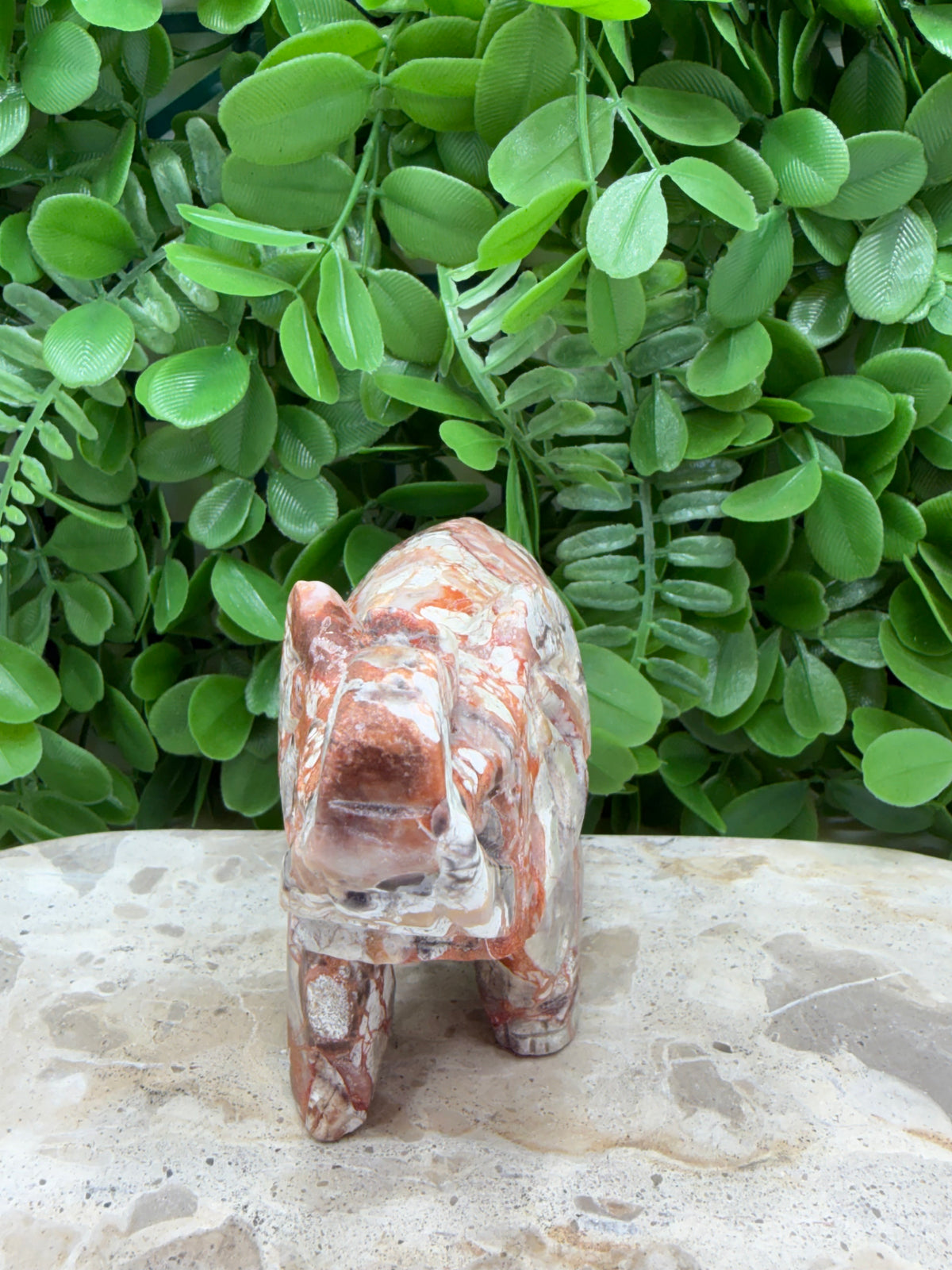 Money Agate Elephant 502g | Intuition • Communication • Clarity