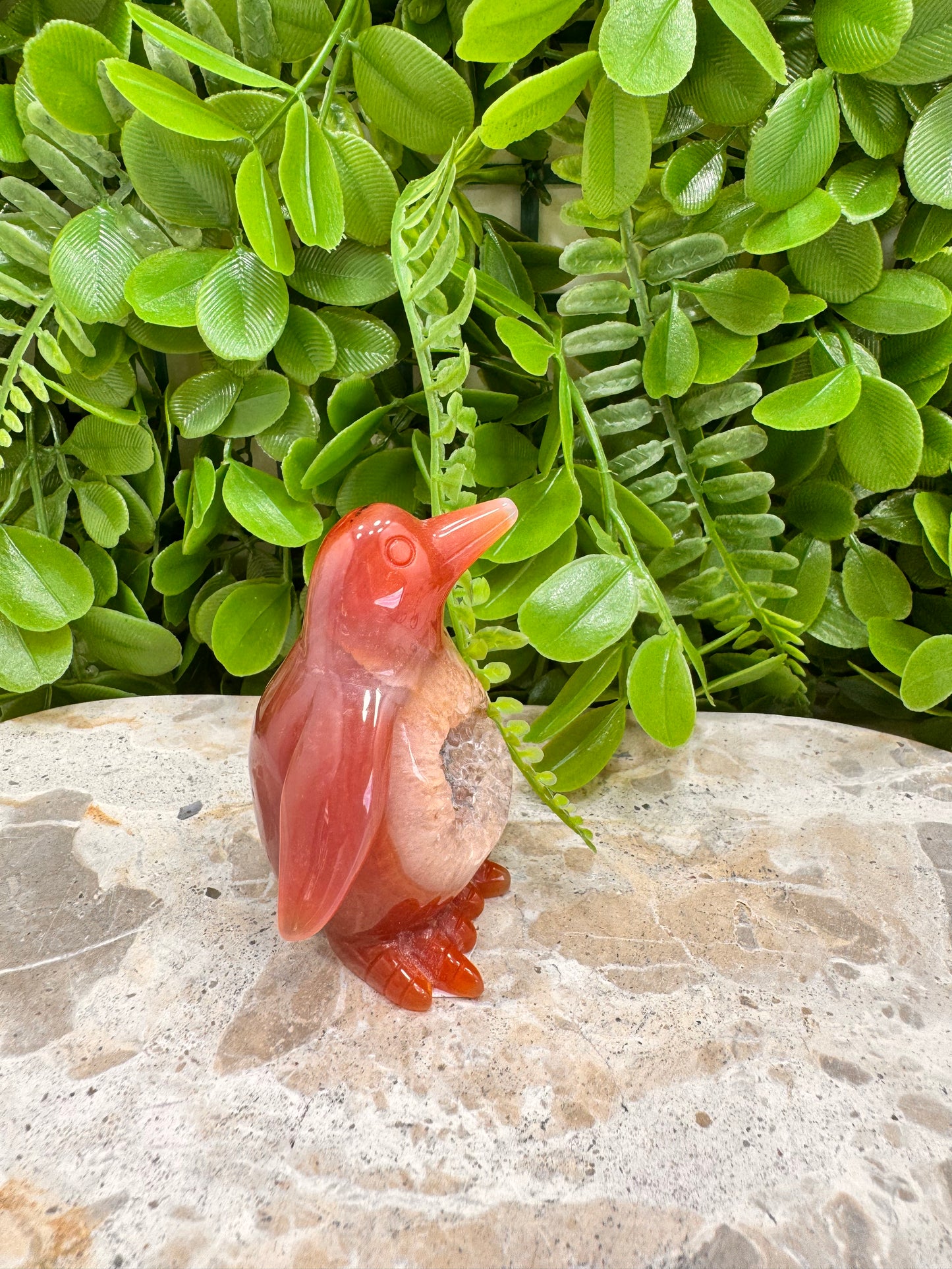 Carnelian Druzy Penguin 138g