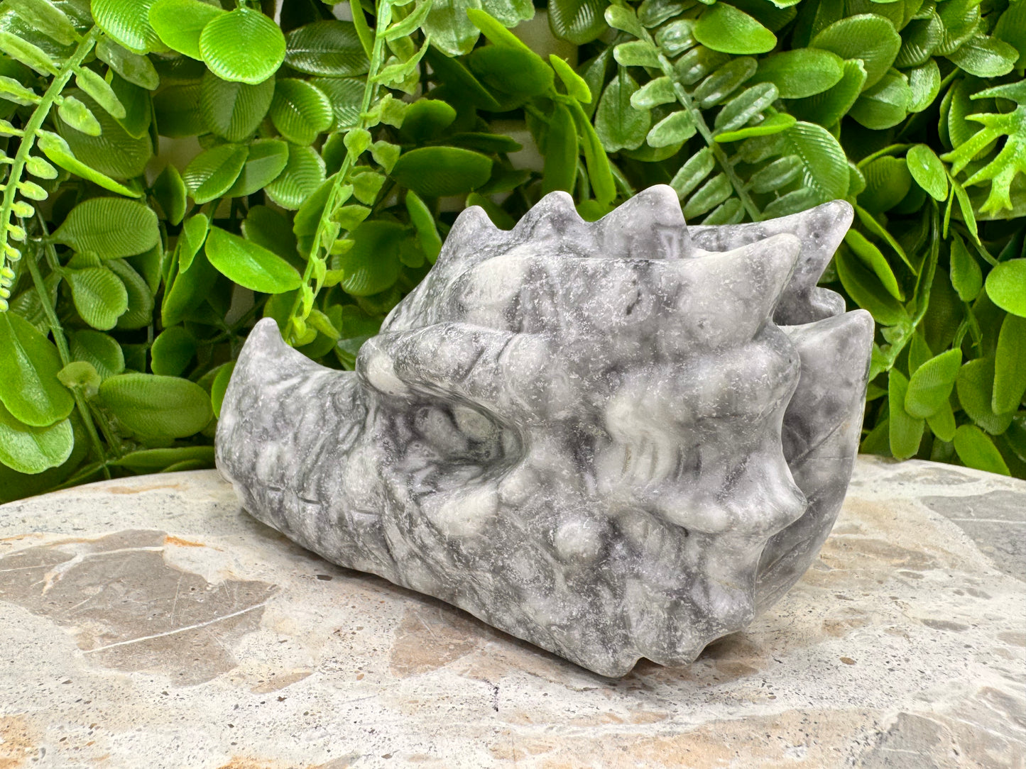 Fossil Dragon Skull 516g