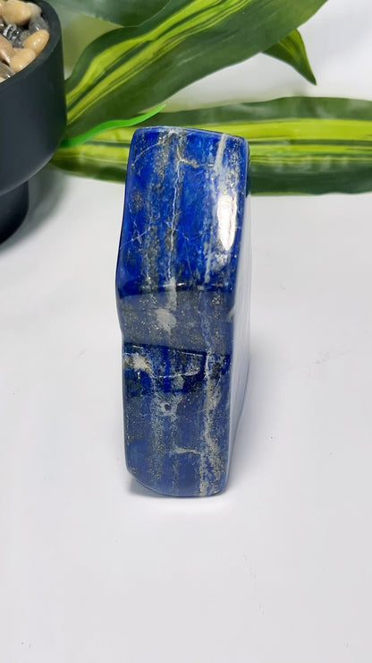 Lapis Lazuli Freeform 806g