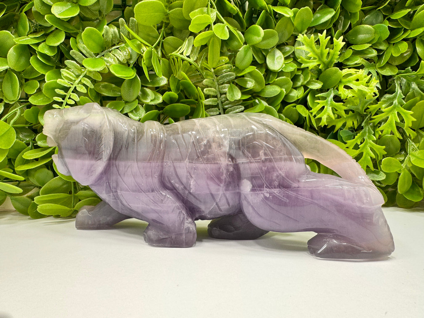 Fluorite Tiger 1498g