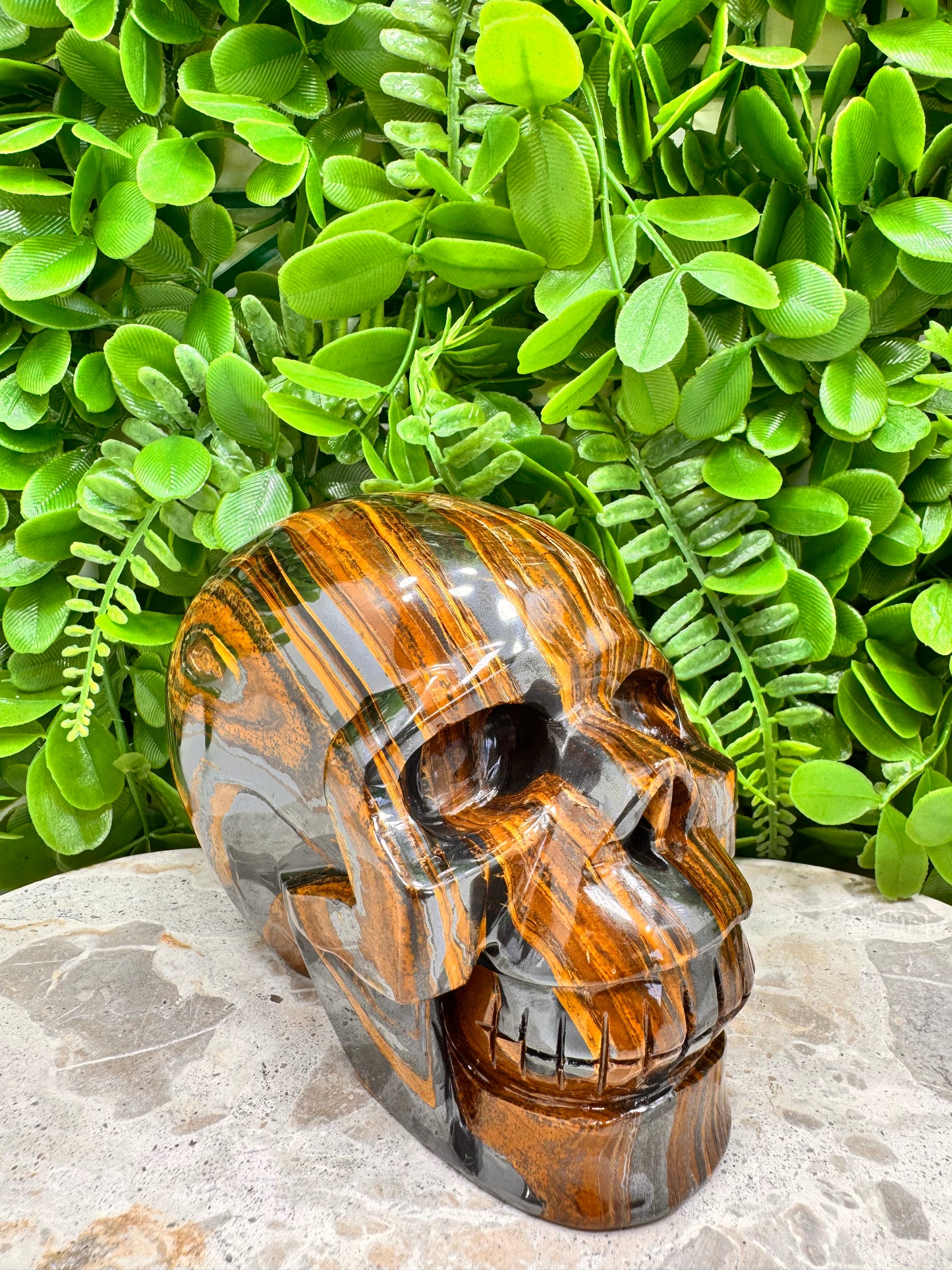 Tiger Ore Skull 2134g