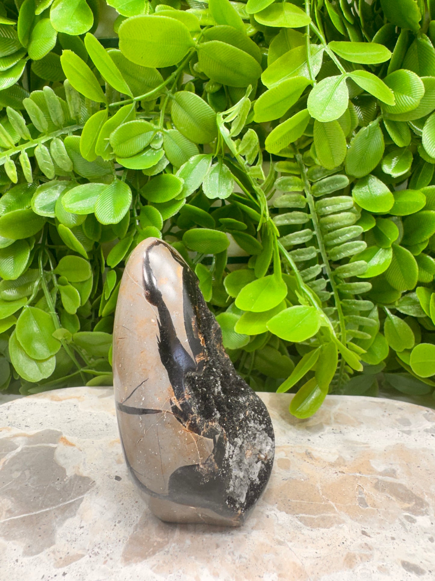 Septarian Freeform 316g