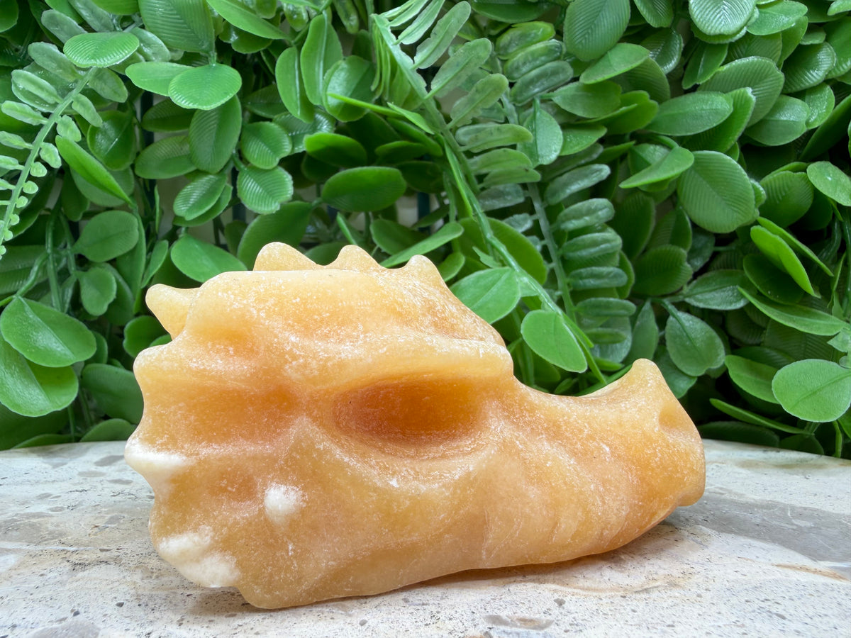 Orange Calcite Dragon Skull 238g