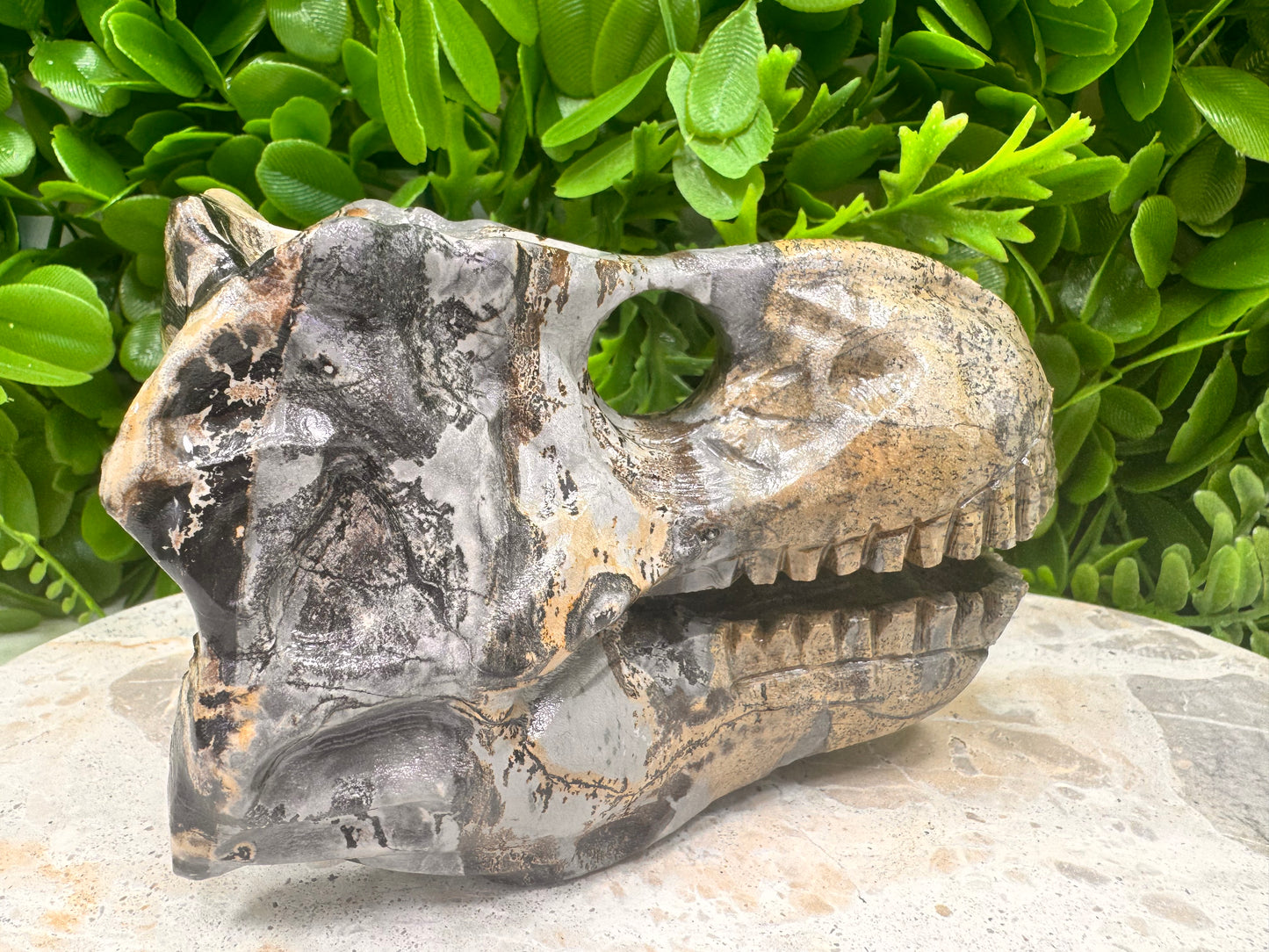Picture Jasper Dinosaur Skull 724g