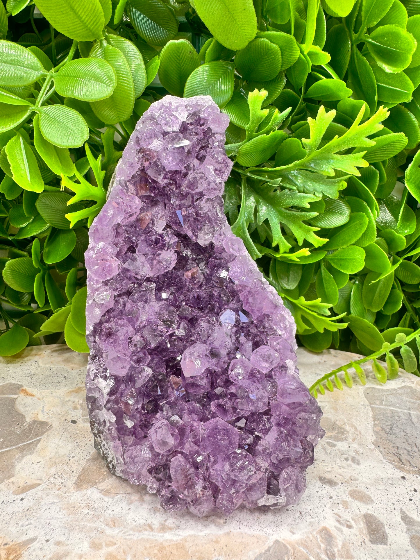 Amethyst Cluster 832g