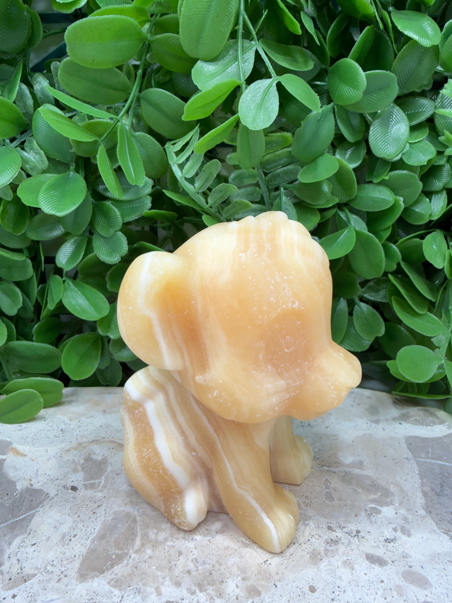 Orange Banded Calcite Lion Cub 574g
