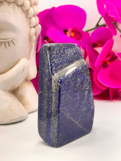 Lapis Lazuli Freeform 648g