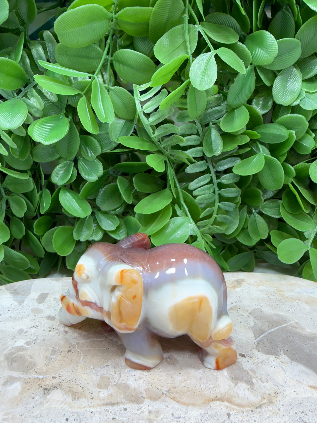 Carnelian Elephant 226g | Motivation • Confidence • Creativity
