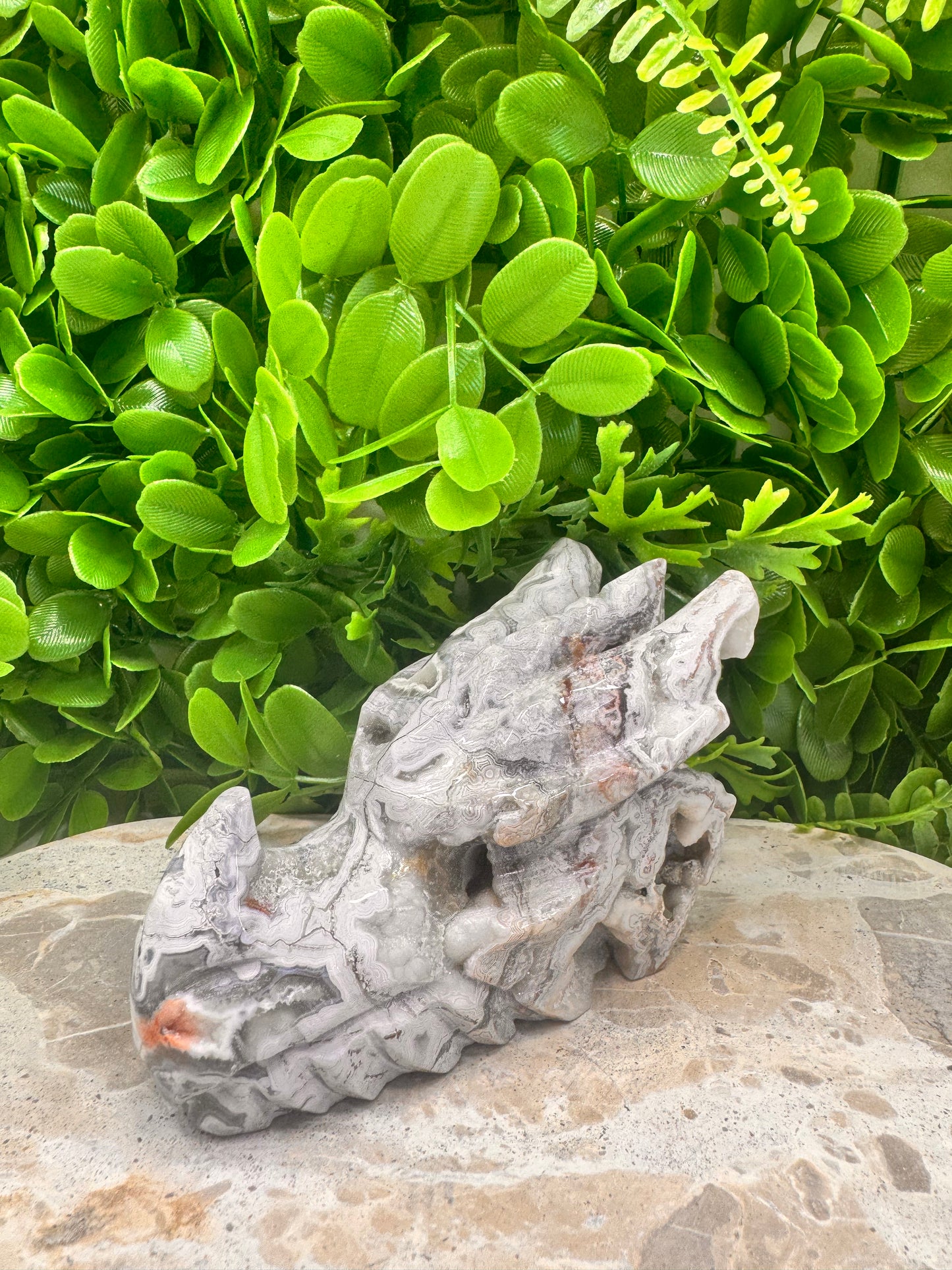 Mexican Agate Druzy Dragon Skull 620g