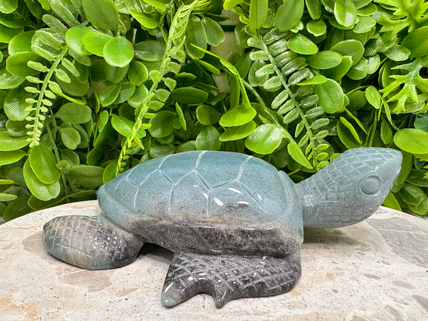 Trolleite Turtle 750G