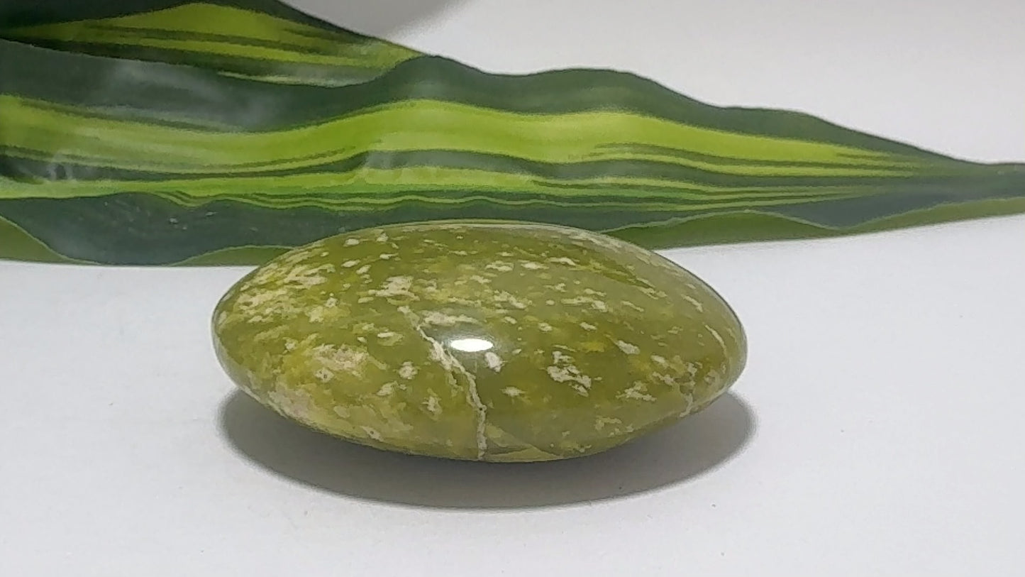 Dotted Serpentine Palm Stone 90g