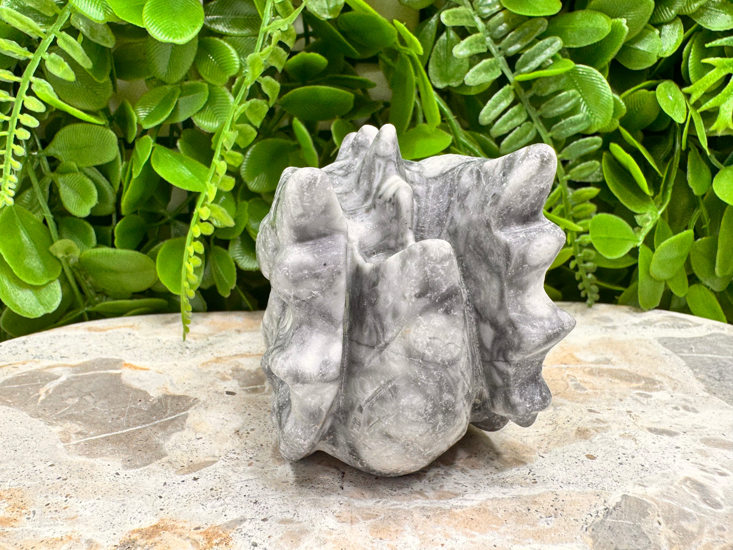 Fossil Dragon Skull 516g