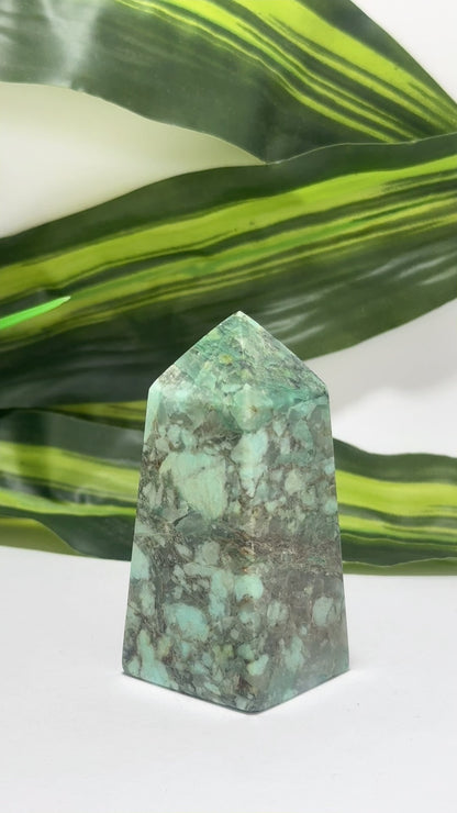 Turquoise Pt 142g