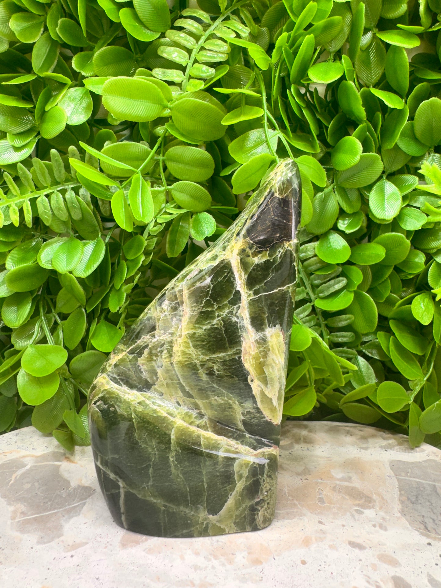 Tremolite Freeform 662g