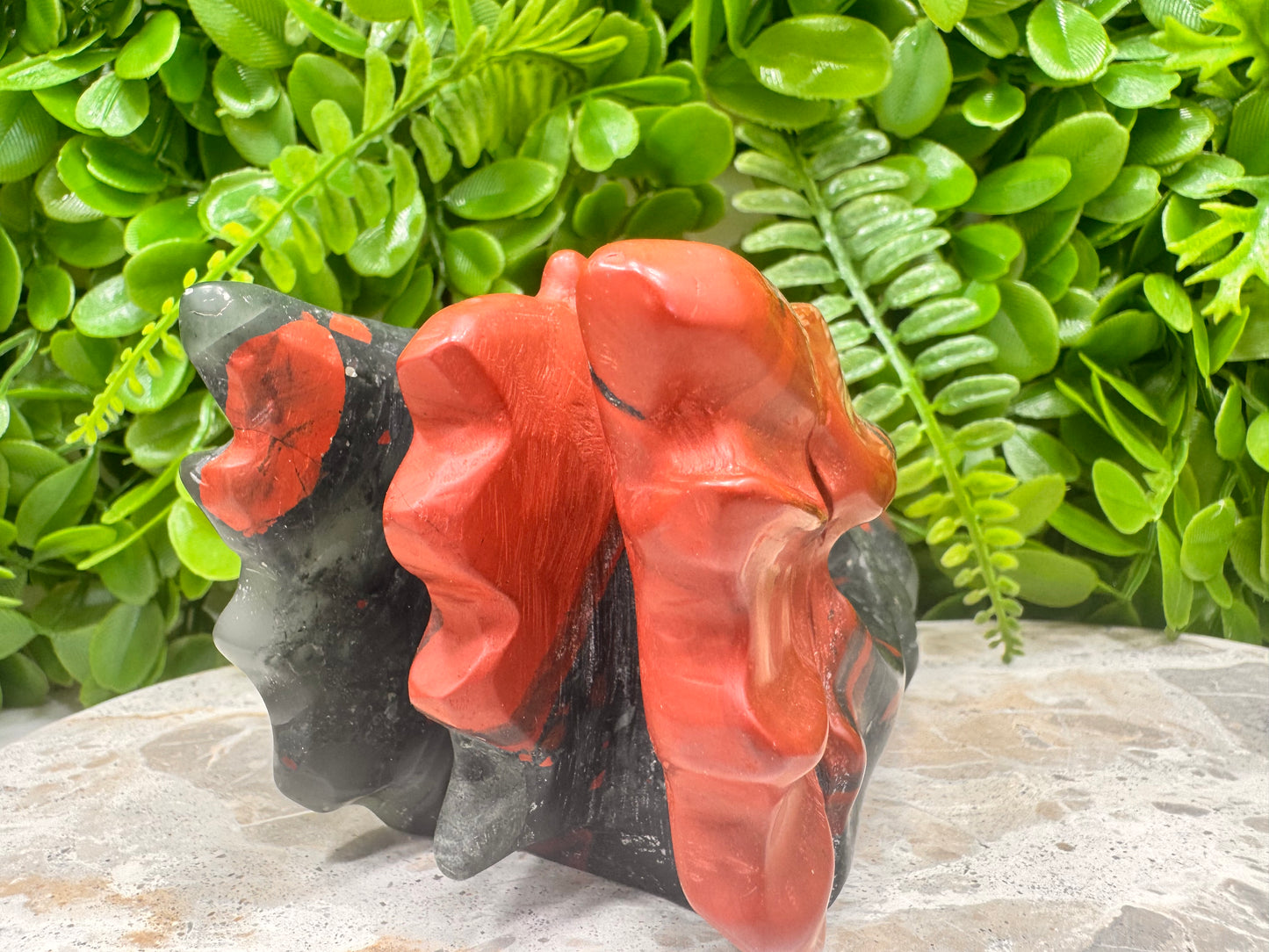African Bloodstone Dragon Skull 878g
