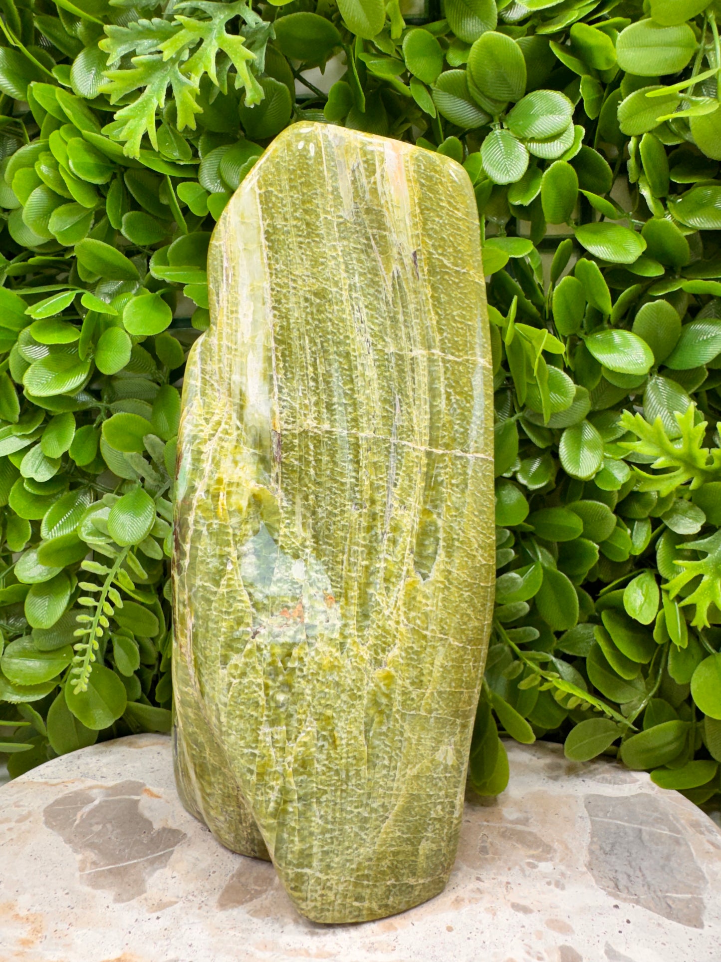 Tremolite Freeform 2018g