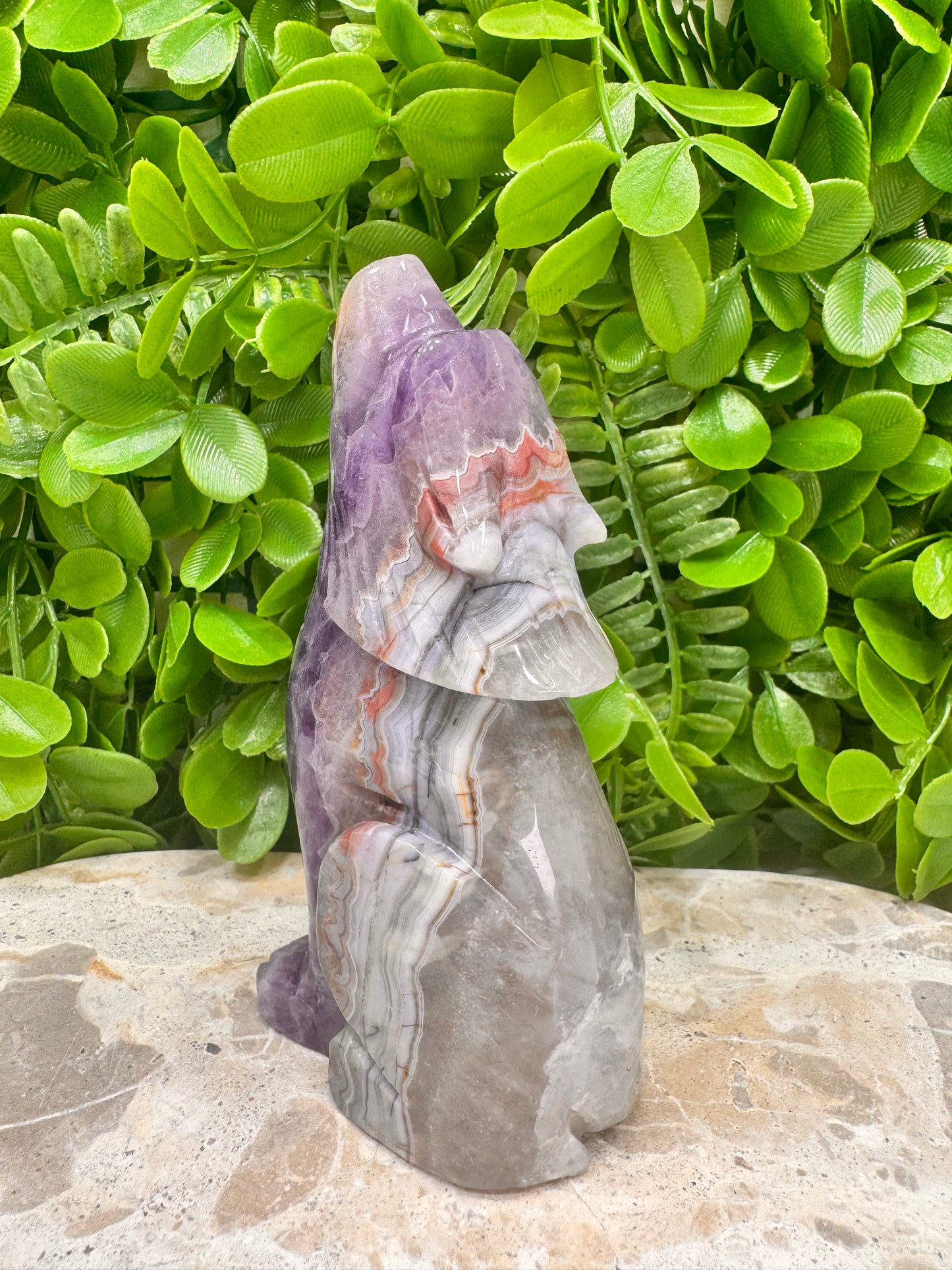 Amethyst Mexican Agate Wolf 498g