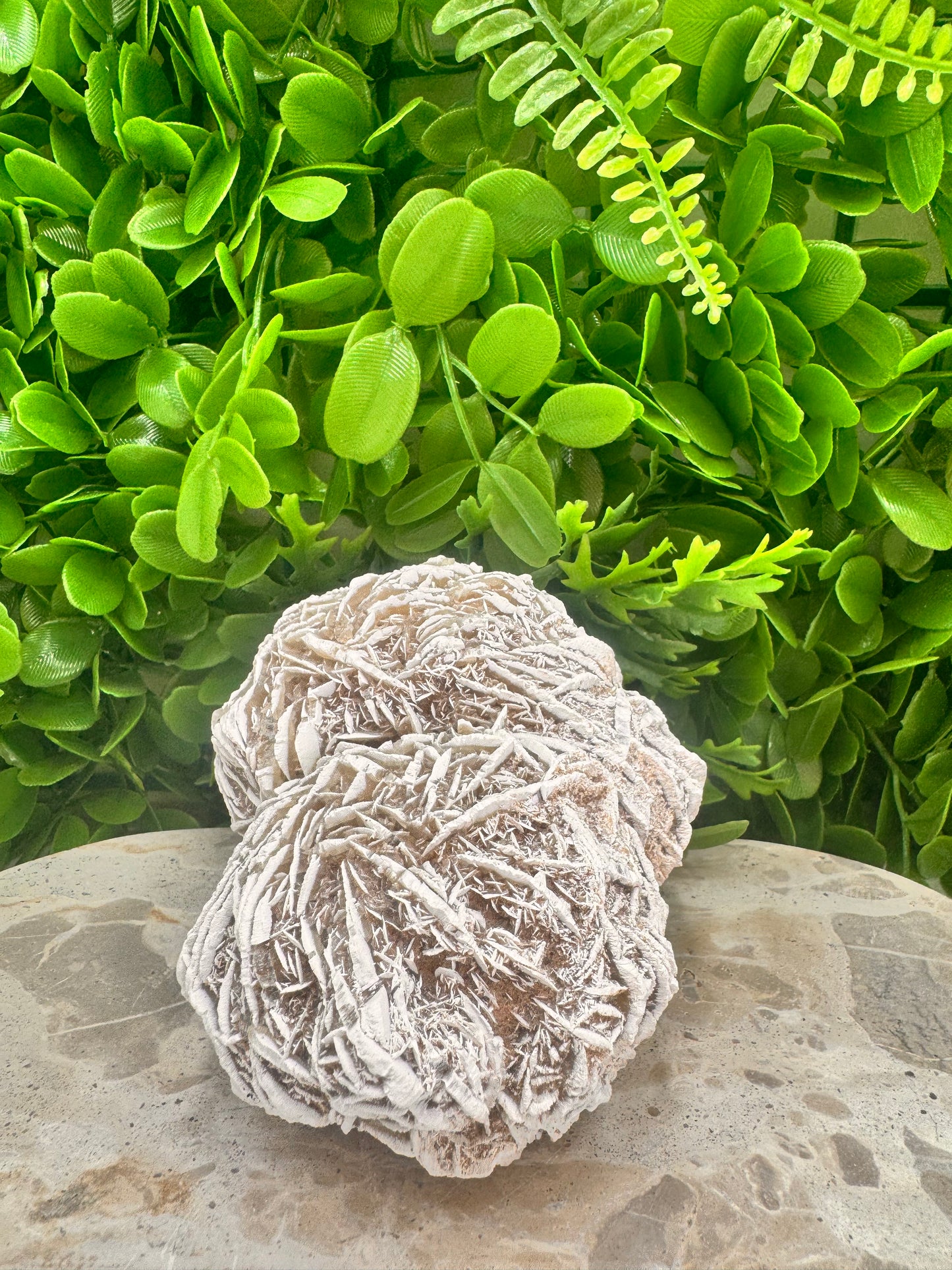 Desert Rose Selenite Cluster  1004g