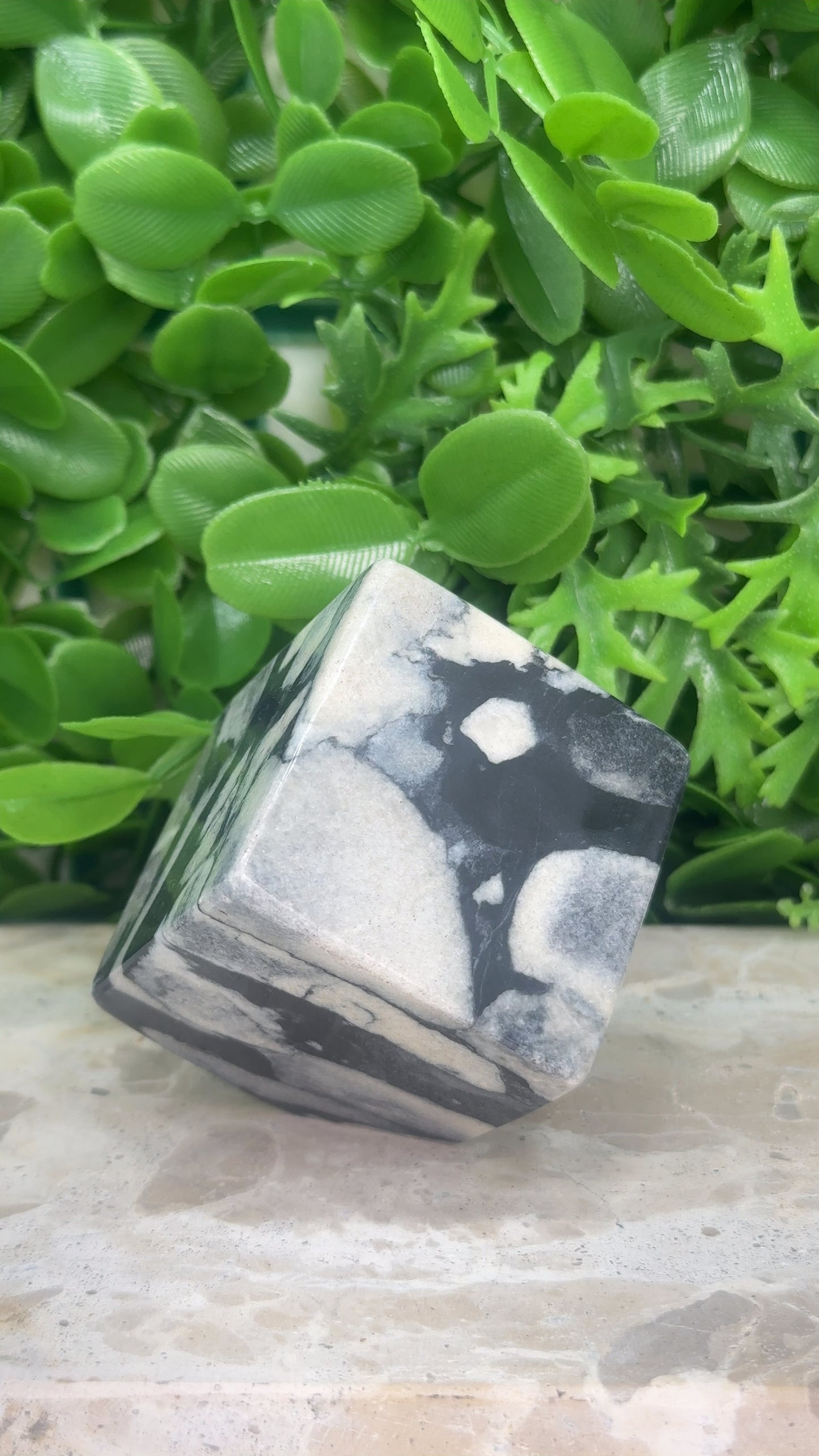 Shell Jasper Cube 330g
