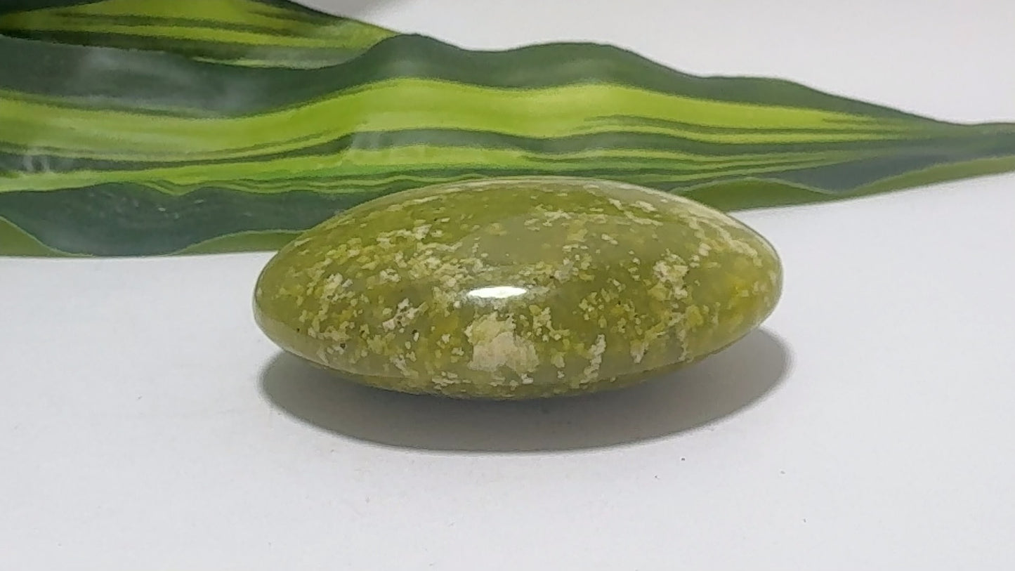 Dotted Serpentine Palm Stone 90g
