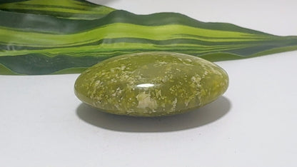 Dotted Serpentine Palm Stone 90g
