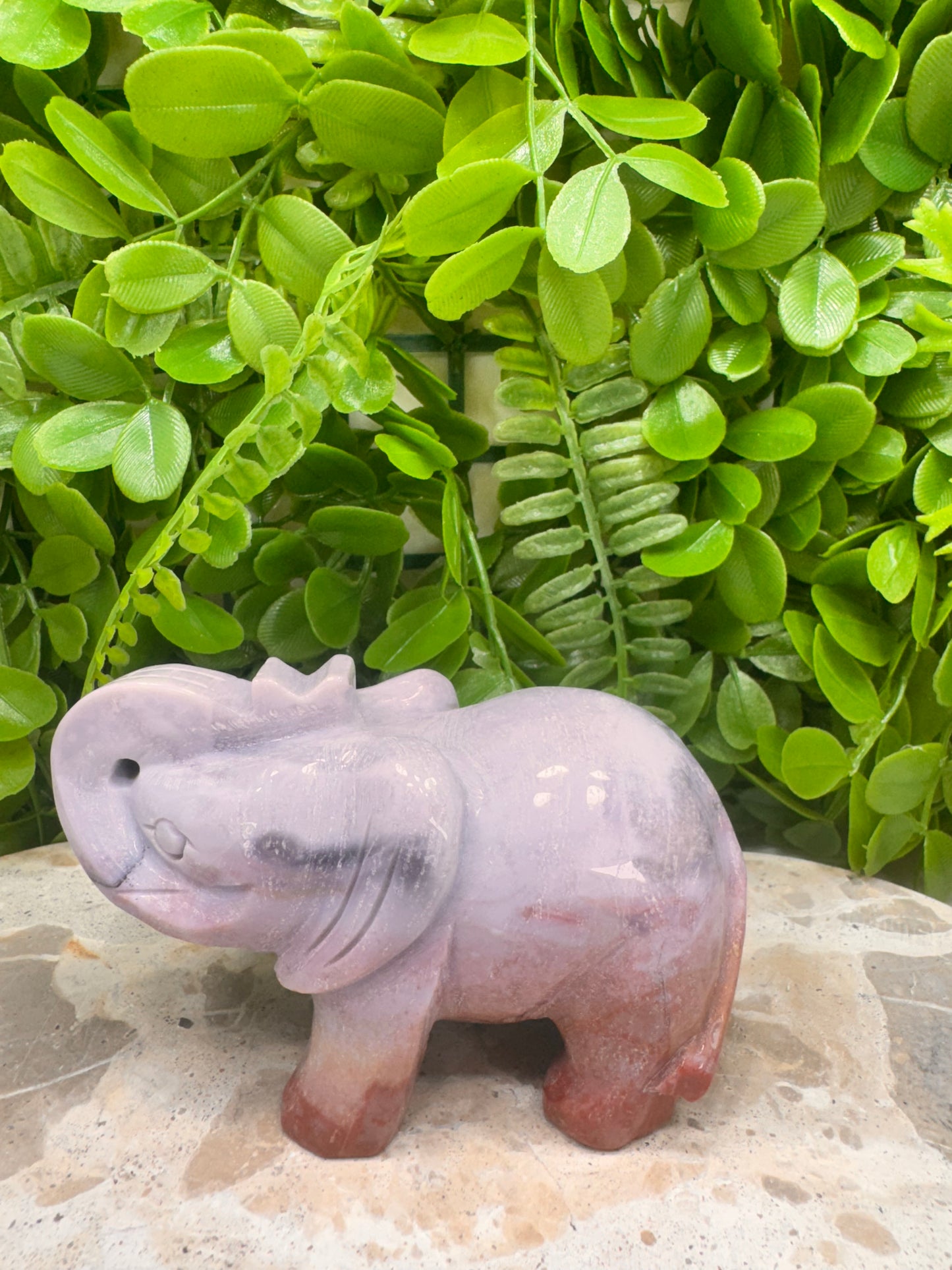 Ocean Jasper Elephant 442g