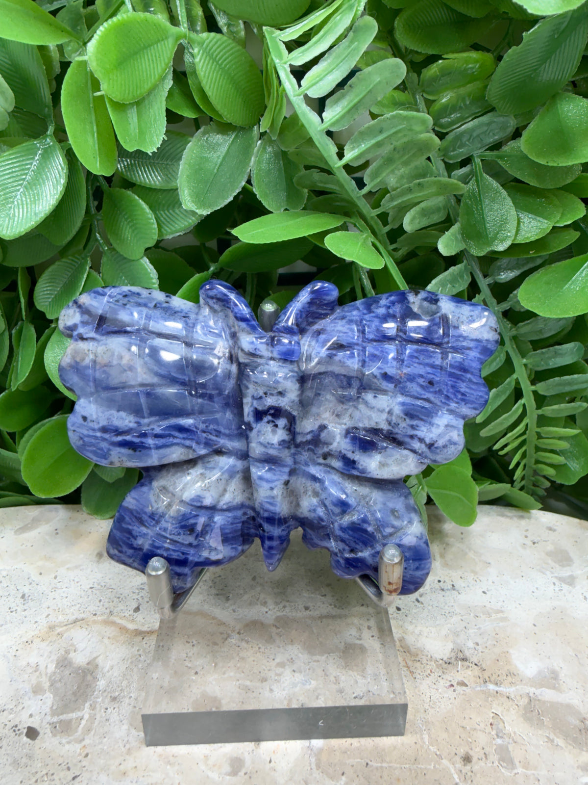 Sodalite Butterfly | Intuition • Communication • Clarity