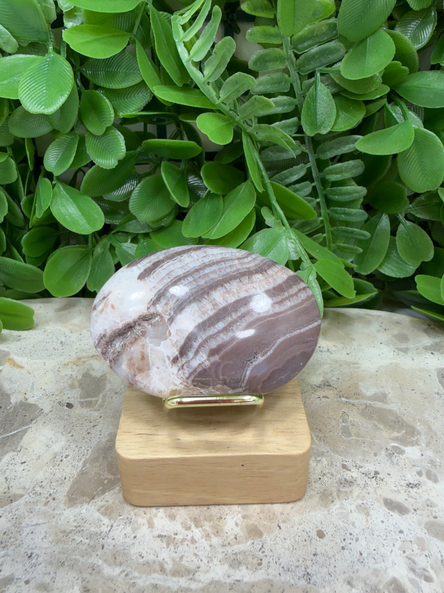Chocolate Aragonite Palm Stone 64g